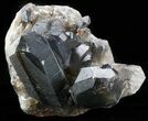 Dark Smoky Quartz Cluster - Large Crystals #58904-2